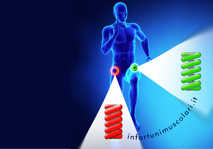 Un infortunio muscolare della coscia può avere delle concause nel disfunzionamento della coxo-femorale. Anche se l'articolazione ha un buon range di movimento